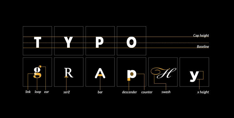 Type anatomy diagram done for our Typography class.